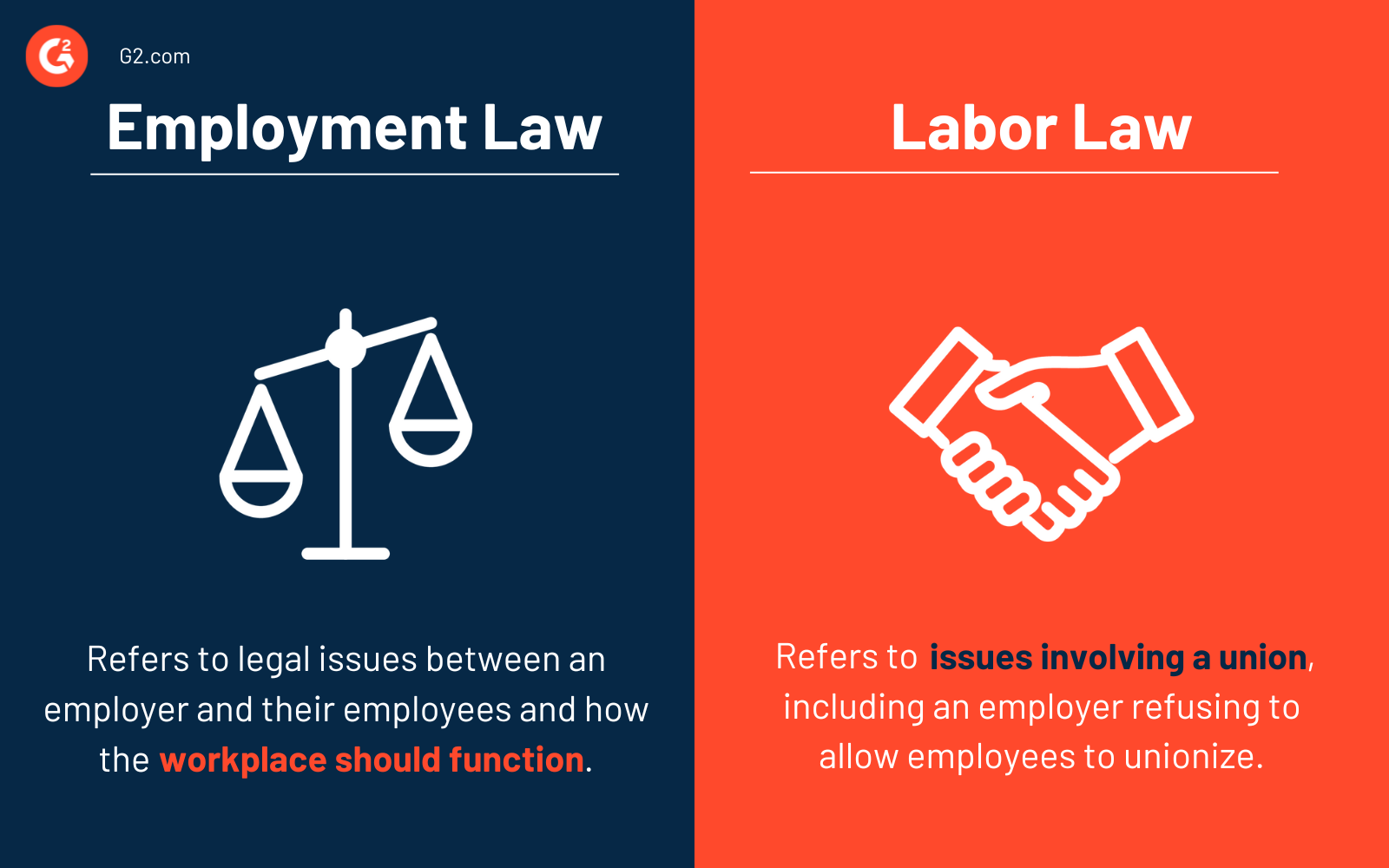 Employment Law 101: Do You Know Your Rights?